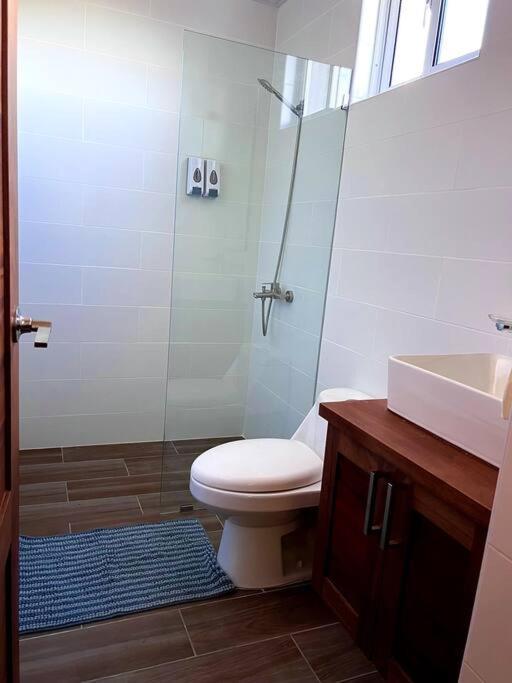 Magnificent Pent House W/Jacuzzi Apartment Santiago De Los Caballeros Exterior foto